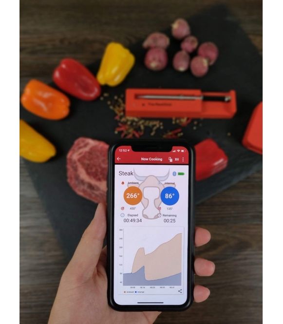 Hovedbilde The MeatStick Xtender & Termometer