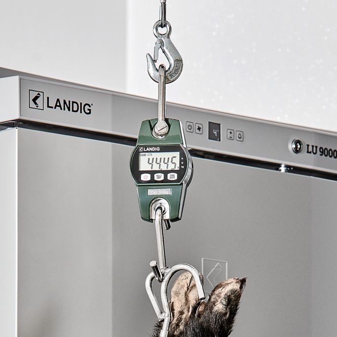 Main Image Landig Premium Hanging Scale 300 kg
