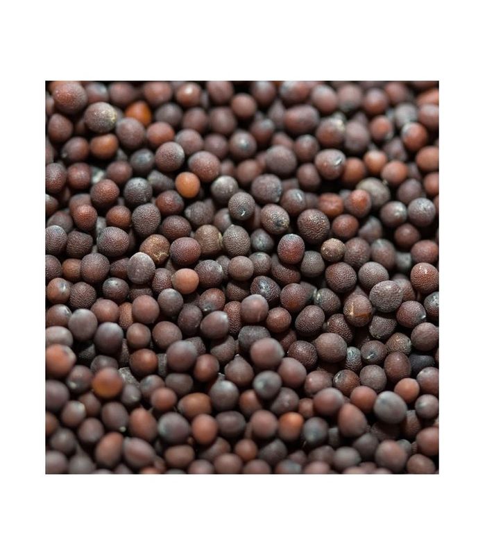 Brown Mustard Seeds