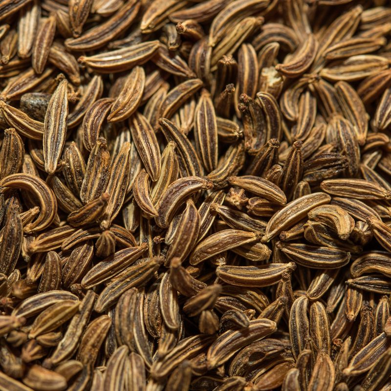 Whole Caraway Seeds - Traditional Spice for Cabbage & Spirits | Foodstuff